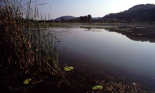 Lago di Fimon - Monti Berici