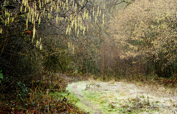 Nordic Walking al Lago di Fimon, Arcugnano Colli Berici Vicenza