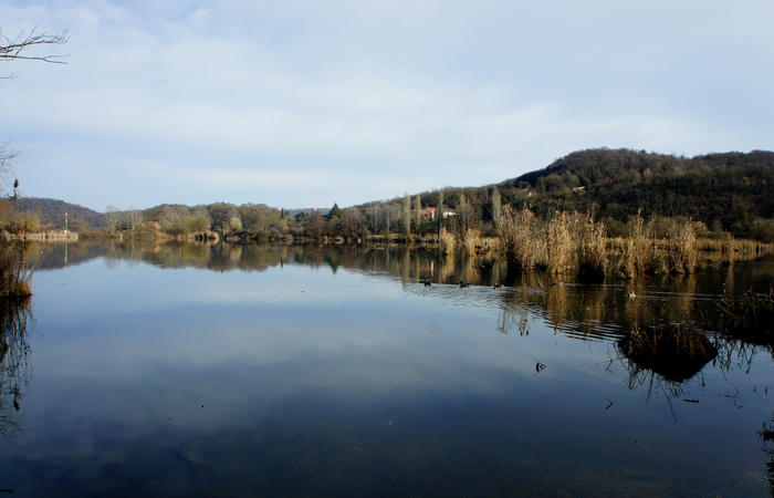 Nordic Walking al Lago di Fimon, Arcugnano Colli Berici Vicenza