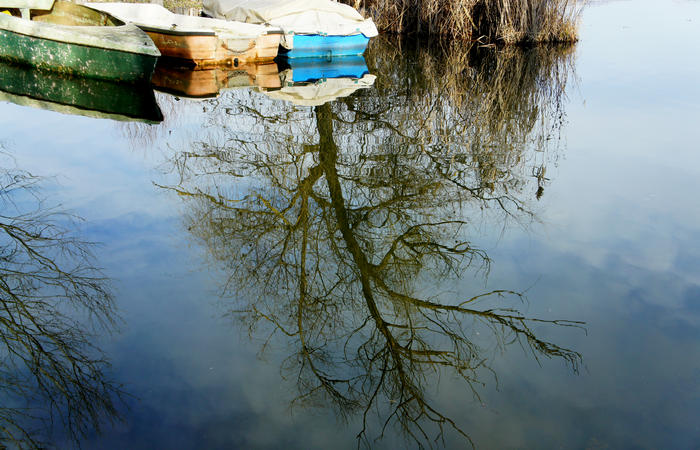 Nordic Walking al Lago di Fimon, Arcugnano Colli Berici Vicenza