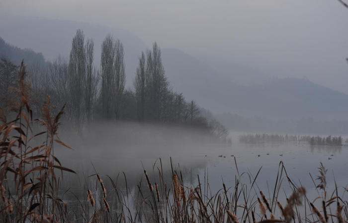 Nordic Walking al Lago di Fimon, Arcugnano Colli Berici Vicenza