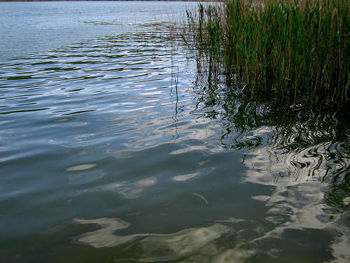 Valli di Fimon e lago di Fimon ad Arcugnano nei Colli Berici