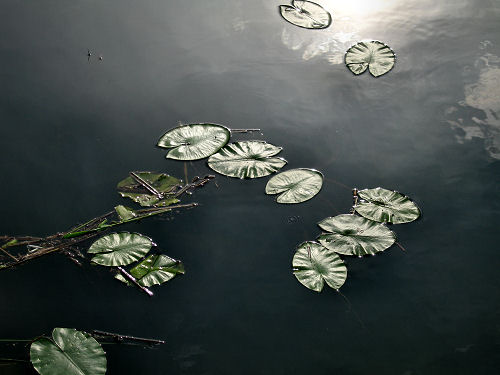 Valli di Fimon e lago di Fimon ad Arcugnano nei Colli Berici