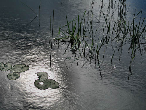 Valli di Fimon e lago di Fimon ad Arcugnano nei Colli Berici