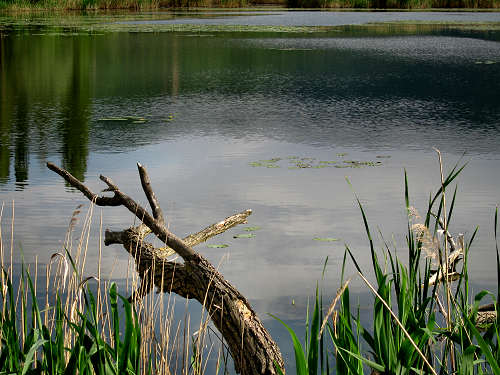 Valli di Fimon e lago di Fimon ad Arcugnano nei Colli Berici