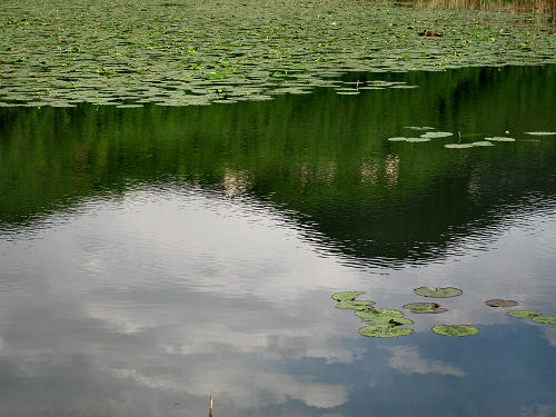 Valli di Fimon e lago di Fimon ad Arcugnano nei Colli Berici