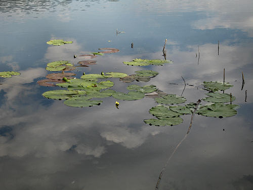 Valli di Fimon e lago di Fimon ad Arcugnano nei Colli Berici