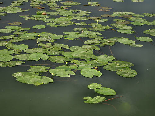 Valli di Fimon e lago di Fimon ad Arcugnano nei Colli Berici