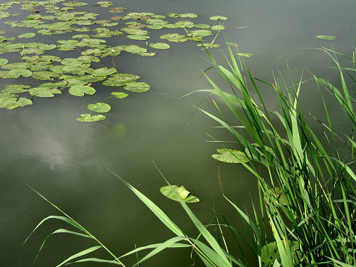 Valli di Fimon e lago di Fimon ad Arcugnano nei Colli Berici