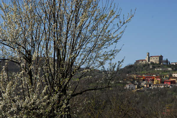 chiesa parrocchiale di Grancona, Val Liona Colli Berici Vicenza