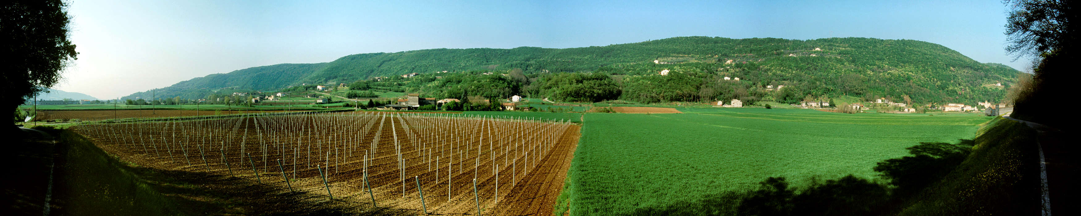 Val Liona, Monti Berici