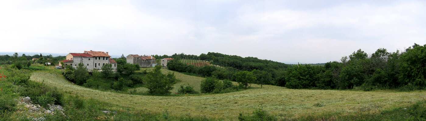 Lonigo, Alonte