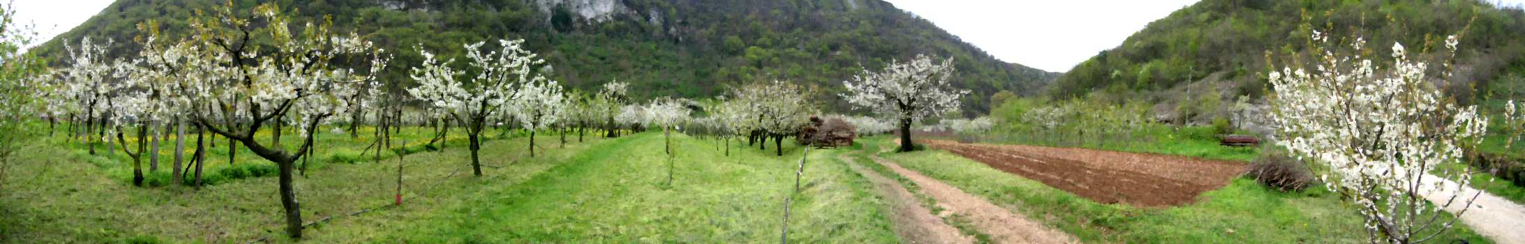 Lumignano, Monti Berici