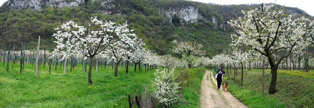 Lumignano, Monti Berici