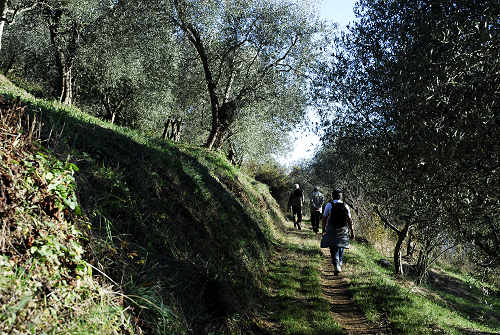 Grotta San Bernardino a Mossano nei Colli Berici