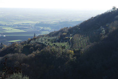Grotta San Bernardino a Mossano nei Colli Berici
