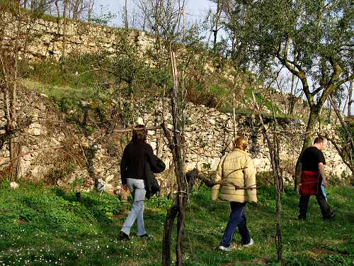 Castello di Orgiano, Colli Berici
