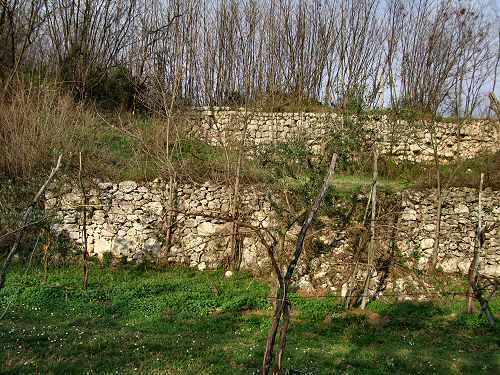Castello di Orgiano, Colli Berici