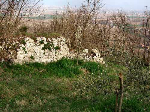 Castello di Orgiano, Colli Berici