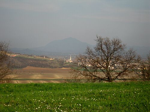 Castello di Orgiano, Colli Berici
