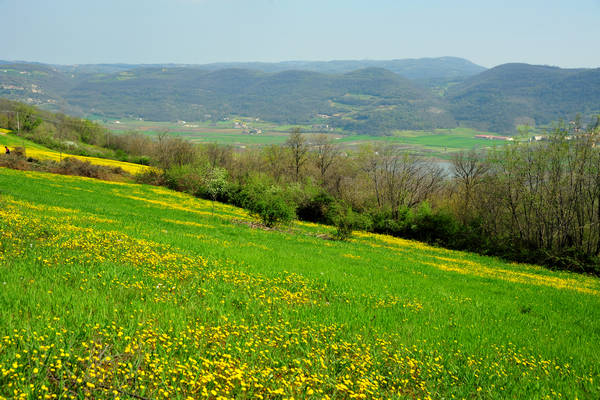 Orgiano, Botteghino-Monticello, Valle dei Mulini, Alonte