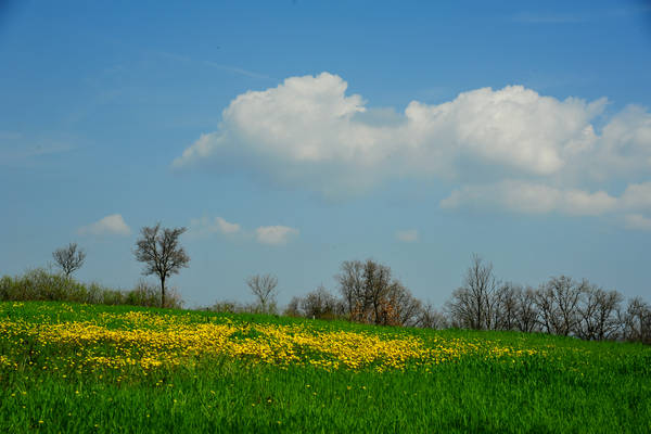 Orgiano, Botteghino-Monticello, Valle dei Mulini, Alonte
