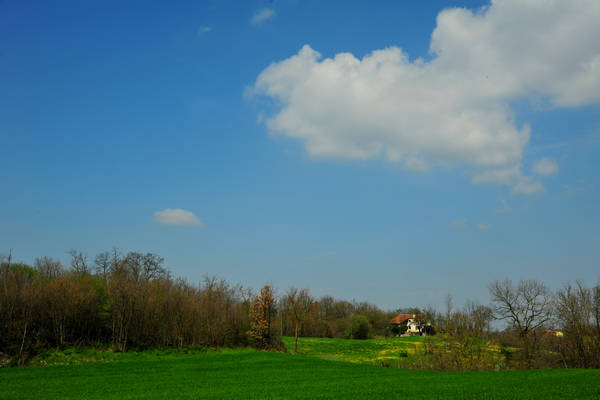 Orgiano, Botteghino-Monticello, Valle dei Mulini, Alonte