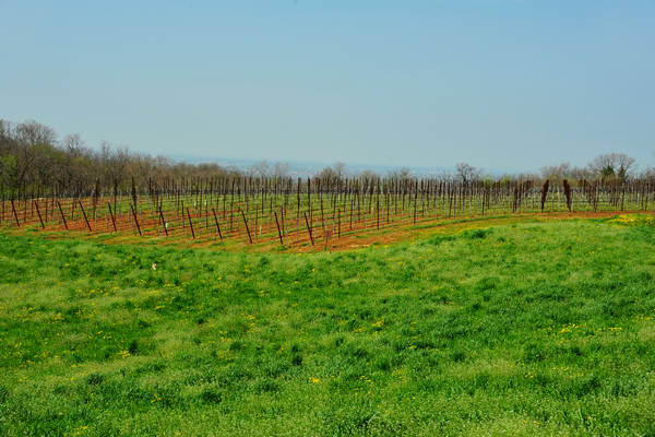 Orgiano, Botteghino-Monticello, Valle dei Mulini, Alonte