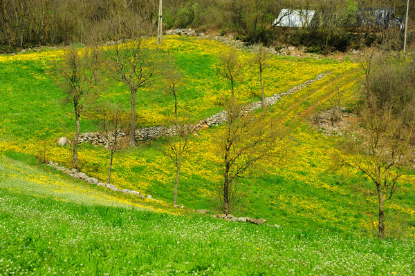 Orgiano, Botteghino-Monticello, Valle dei Mulini, Alonte