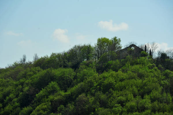 Orgiano, Botteghino-Monticello, Valle dei Mulini, Alonte