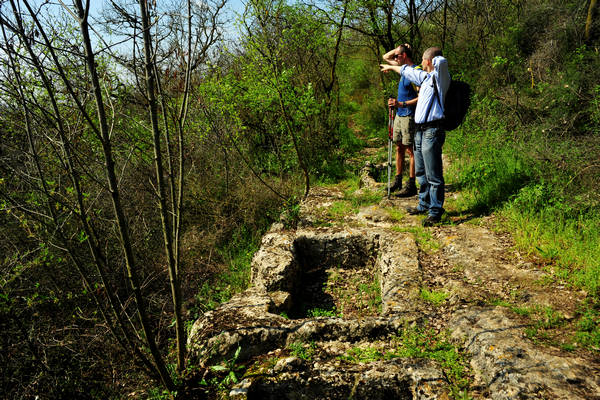 Orgiano, Botteghino-Monticello, Valle dei Mulini, Alonte