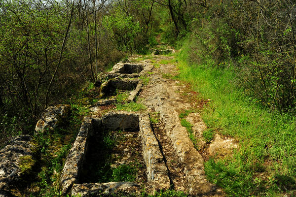 Orgiano, Botteghino-Monticello, Valle dei Mulini, Alonte