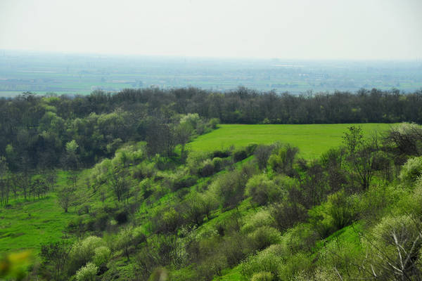 Orgiano, Botteghino-Monticello, Valle dei Mulini, Alonte