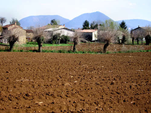 Riviera Berica - Strada dei Vini dei Colli Berici