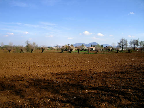 Riviera Berica - Strada dei Vini dei Colli Berici