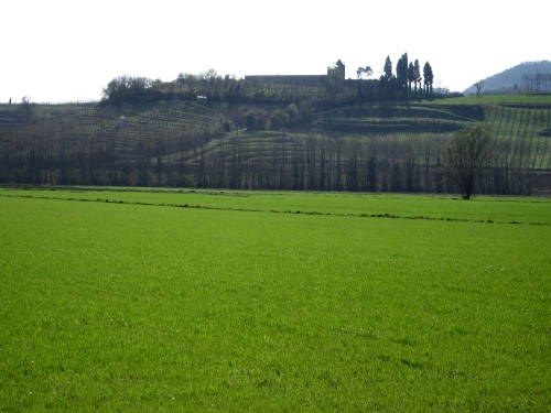 Riviera Berica orientale - Monti Berici, Vicenza