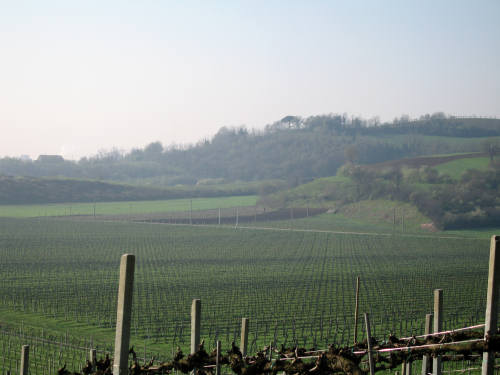 Riviera Berica orientale - Monti Berici, Vicenza