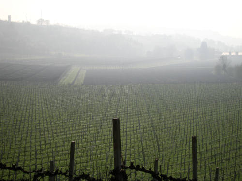 Riviera Berica orientale - Monti Berici, Vicenza