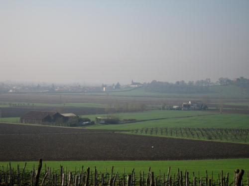 Riviera Berica orientale - Monti Berici, Vicenza