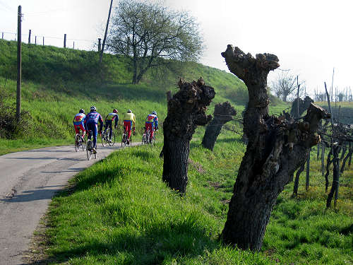 Riviera Berica orientale - Monti Berici, Vicenza