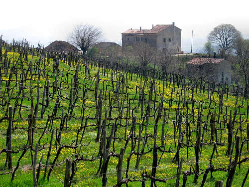 Riviera Berica orientale - Monti Berici, Vicenza