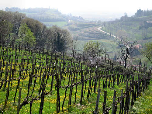 Riviera Berica orientale - Monti Berici, Vicenza