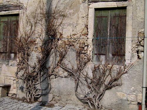 Riviera Berica orientale - Monti Berici, Vicenza