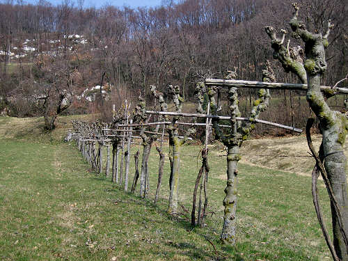 Riviera Berica orientale - Monti Berici, Vicenza