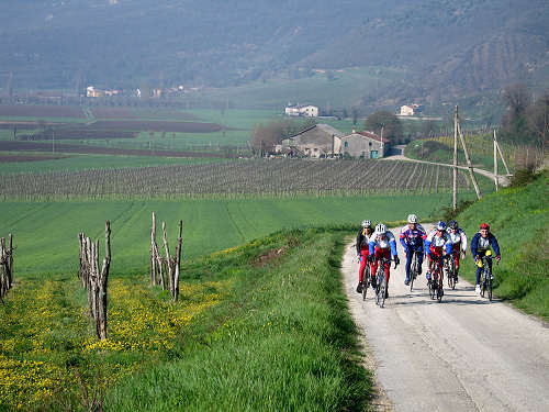 Riviera Berica orientale - Monti Berici, Vicenza