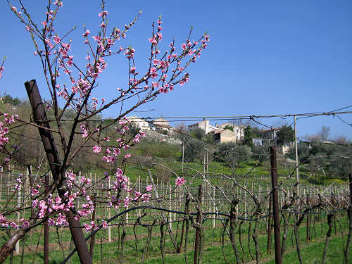 Riviera Berica orientale - Monti Berici, Vicenza