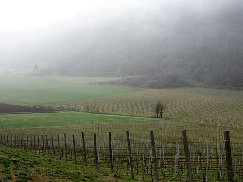 Chiesetta San Lorenzo a Villa del Ferro San Germano dei Berici