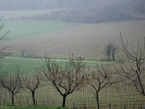 Chiesetta San Lorenzo a Villa del Ferro San Germano dei Berici