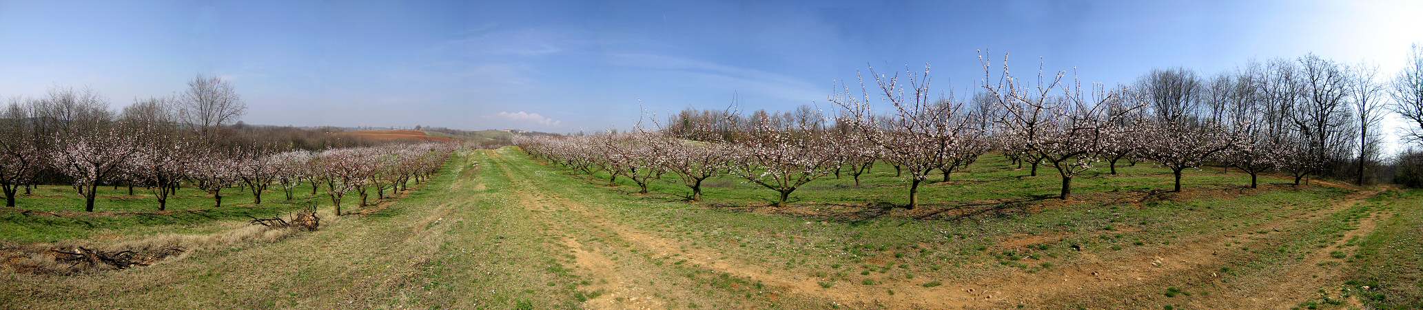 Villa del Ferro, San Germano dei Berici, Monti Berici, Vicenza
