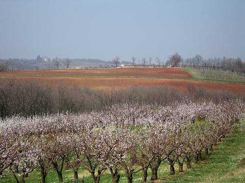 San Germano - Monti Berici - Vicenza